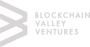 BVV logo